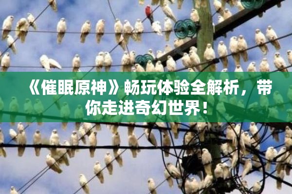 《催眠原神》畅玩体验全解析，带你走进奇幻世界！