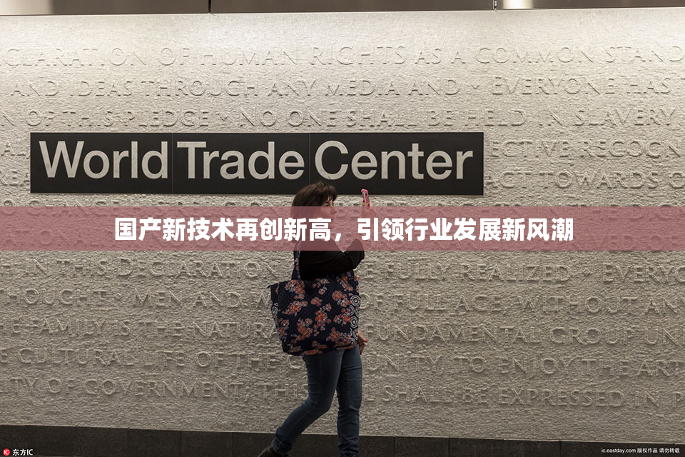 国产新技术再创新高，引领行业发展新风潮
