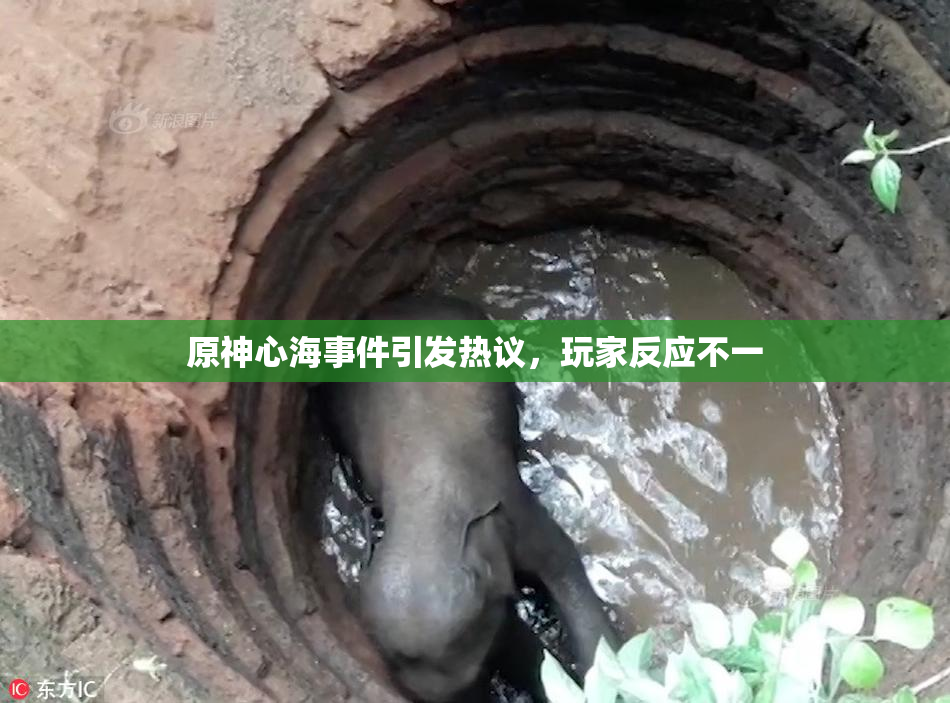 原神心海事件引发热议，玩家反应不一