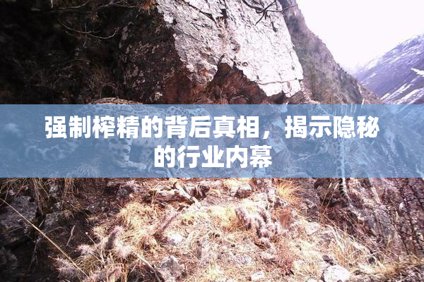 强制榨精的背后真相，揭示隐秘的行业内幕