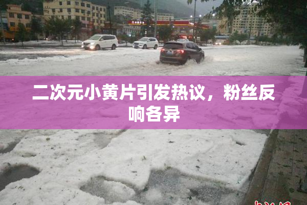 二次元小黄片引发热议，粉丝反响各异