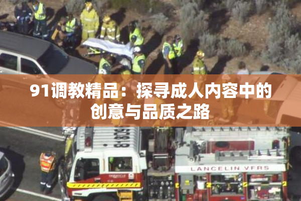 91调教精品：探寻成人内容中的创意与品质之路