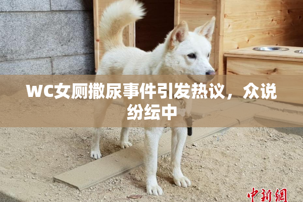 WC女厕撒尿事件引发热议，众说纷纭中