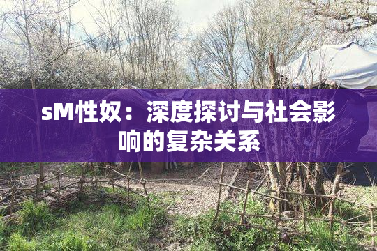 sM性奴：深度探讨与社会影响的复杂关系