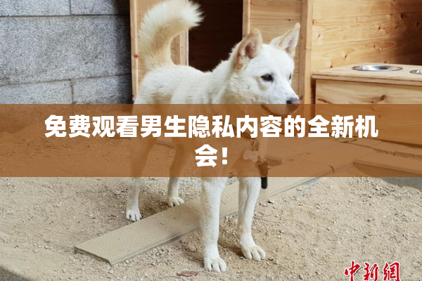 免费观看男生隐私内容的全新机会！