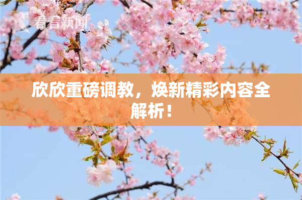 欣欣重磅调教，焕新精彩内容全解析！