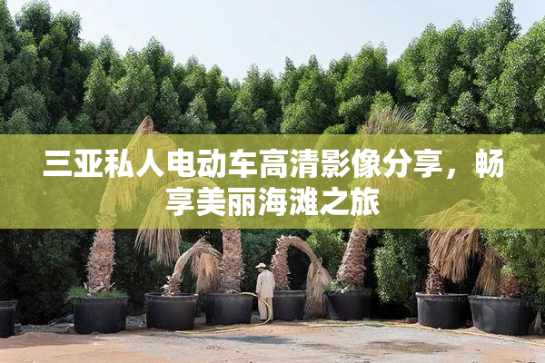 三亚私人电动车高清影像分享，畅享美丽海滩之旅