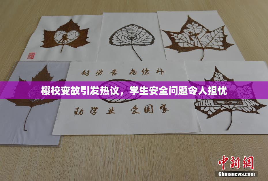 樱校变故引发热议，学生安全问题令人担忧
