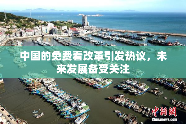 中国的免费看改革引发热议，未来发展备受关注