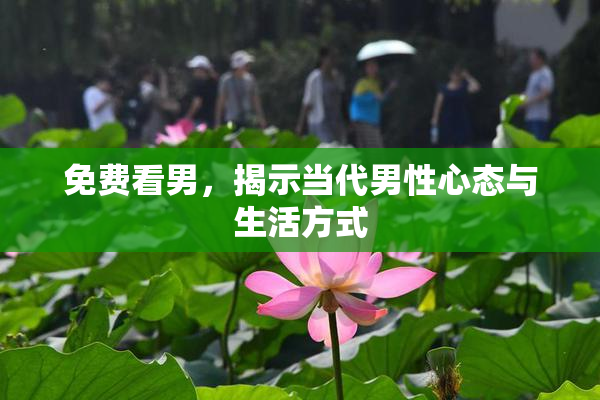 免费看男，揭示当代男性心态与生活方式