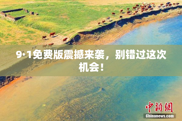 9·1免费版震撼来袭，别错过这次机会！