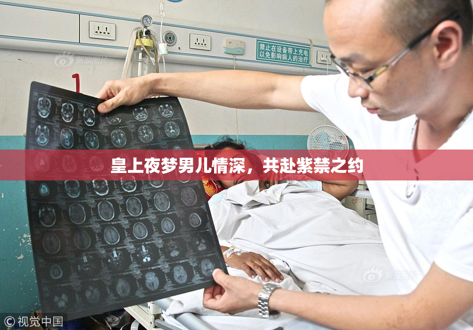 皇上夜梦男儿情深，共赴紫禁之约