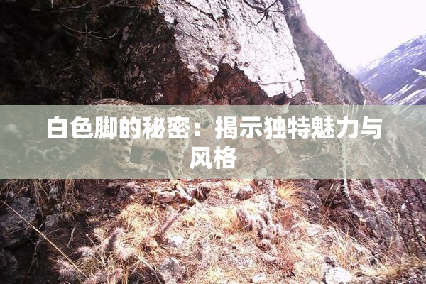 白色脚的秘密：揭示独特魅力与风格