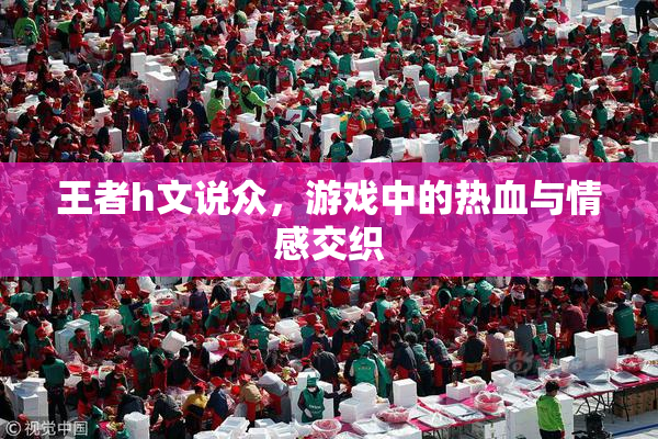王者h文说众，游戏中的热血与情感交织