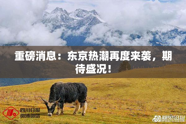 重磅消息：东京热潮再度来袭，期待盛况！