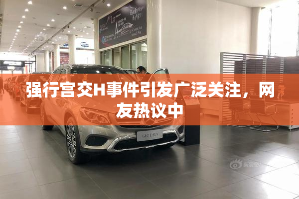 强行宫交H事件引发广泛关注，网友热议中