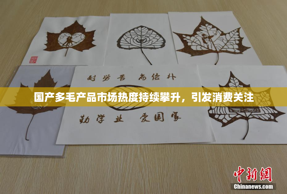 国产多毛产品市场热度持续攀升，引发消费关注