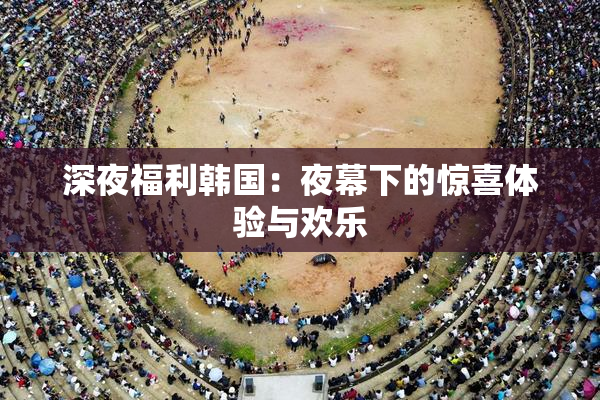 深夜福利韩国：夜幕下的惊喜体验与欢乐