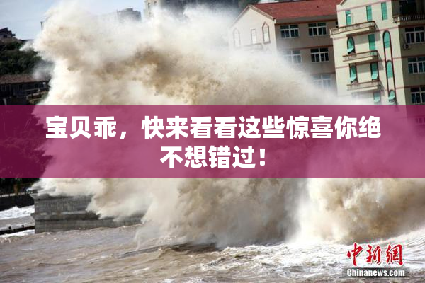 宝贝乖，快来看看这些惊喜你绝不想错过！