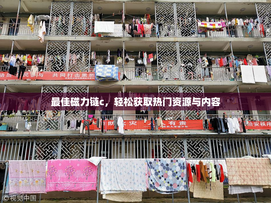 最佳磁力链c，轻松获取热门资源与内容