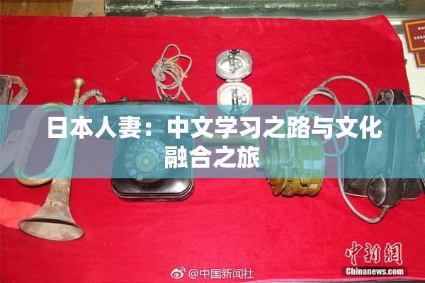 日本人妻：中文学习之路与文化融合之旅