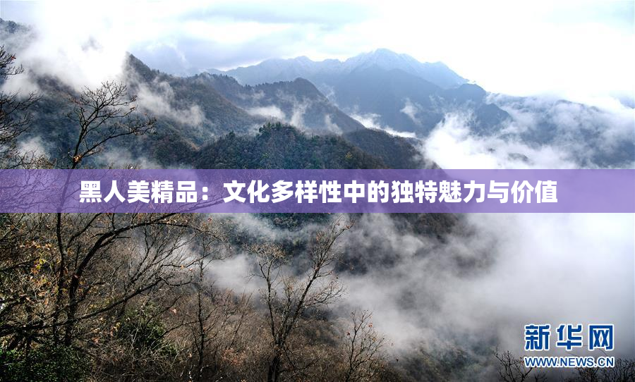 黑人美精品：文化多样性中的独特魅力与价值
