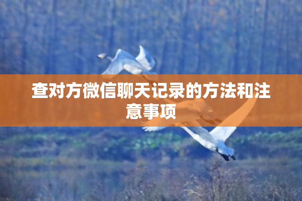 查对方微信聊天记录的方法和注意事项