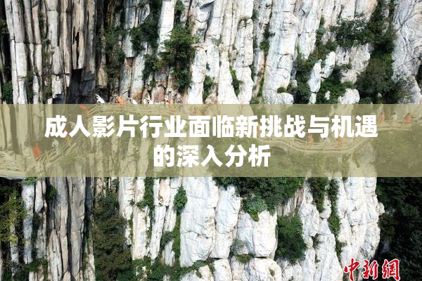 成人影片行业面临新挑战与机遇的深入分析