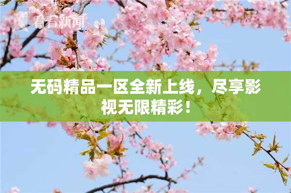 无码精品一区全新上线，尽享影视无限精彩！