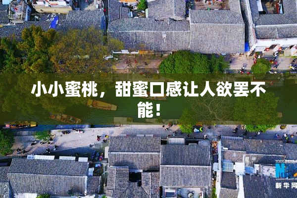 小小蜜桃，甜蜜口感让人欲罢不能！