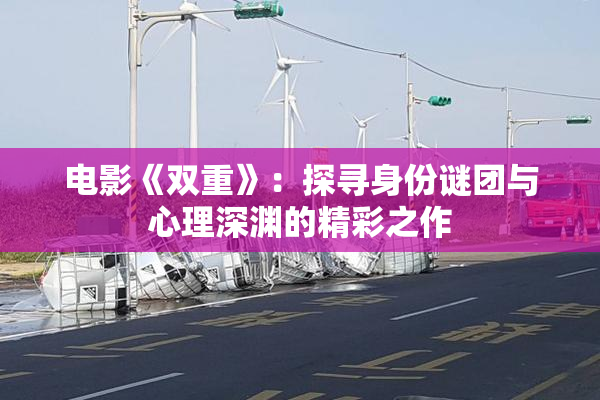 电影《双重》：探寻身份谜团与心理深渊的精彩之作