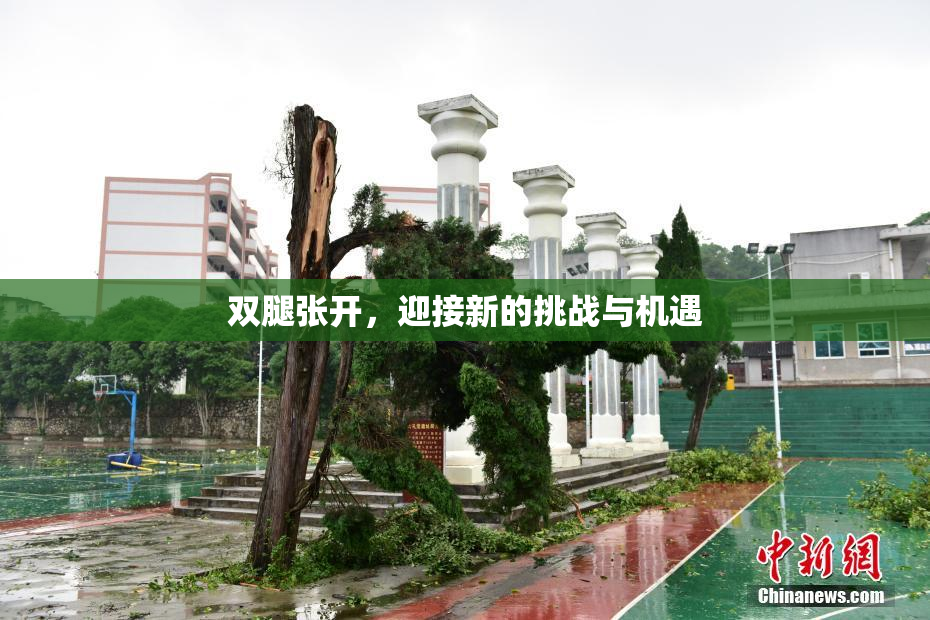 双腿张开，迎接新的挑战与机遇