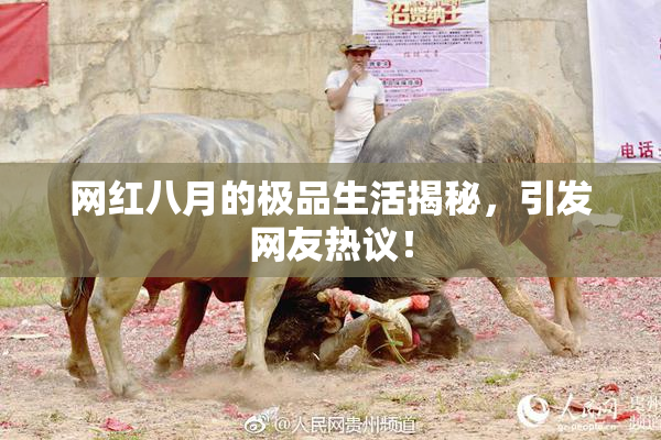 网红八月的极品生活揭秘，引发网友热议！