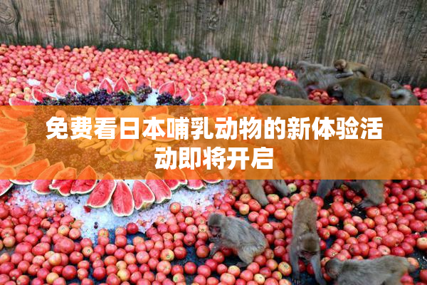 免费看日本哺乳动物的新体验活动即将开启
