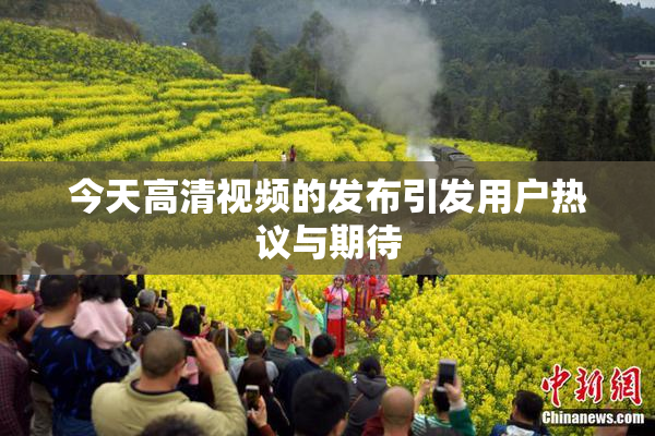今天高清视频的发布引发用户热议与期待