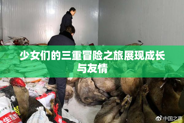 少女们的三重冒险之旅展现成长与友情