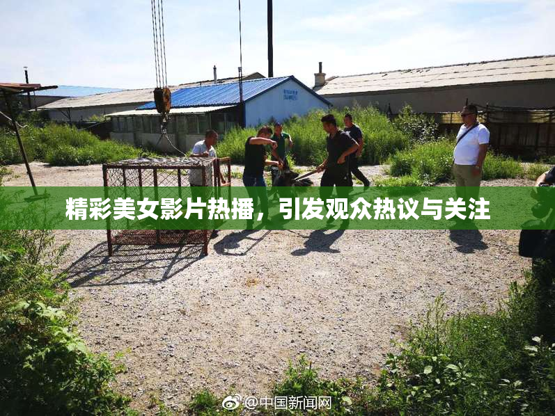 精彩美女影片热播，引发观众热议与关注