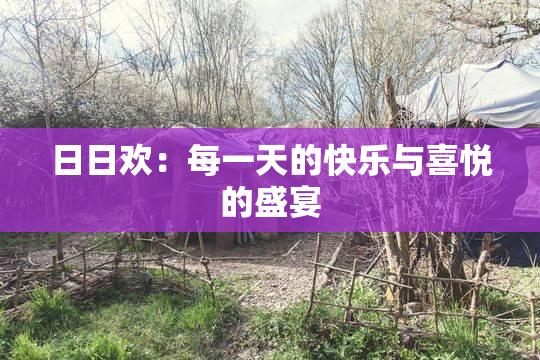 日日欢：每一天的快乐与喜悦的盛宴