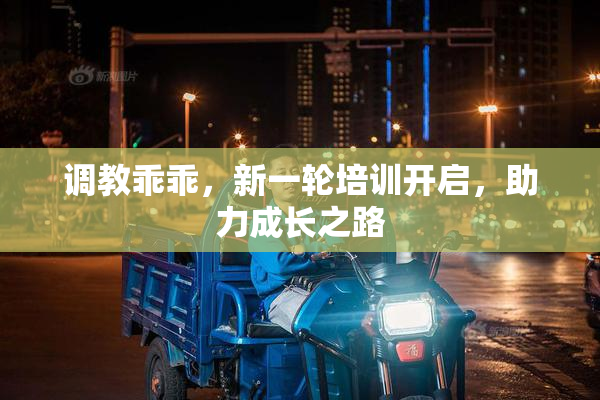 调教乖乖，新一轮培训开启，助力成长之路
