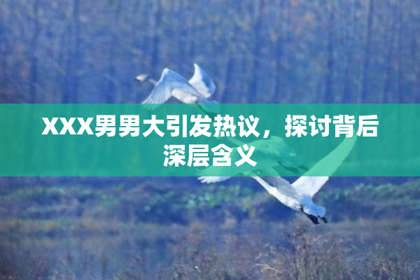 XXX男男大引发热议，探讨背后深层含义