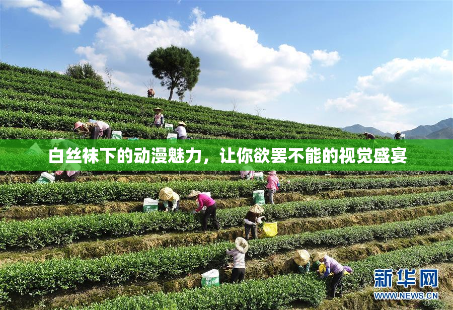 白丝袜下的动漫魅力，让你欲罢不能的视觉盛宴