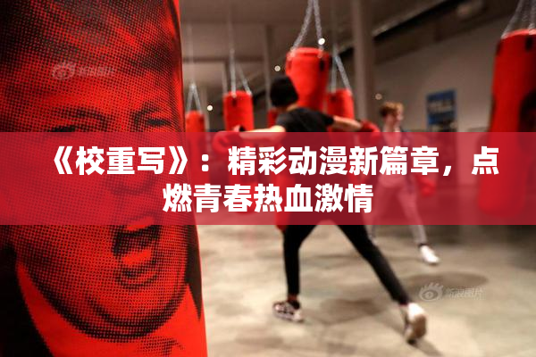 《校重写》：精彩动漫新篇章，点燃青春热血激情