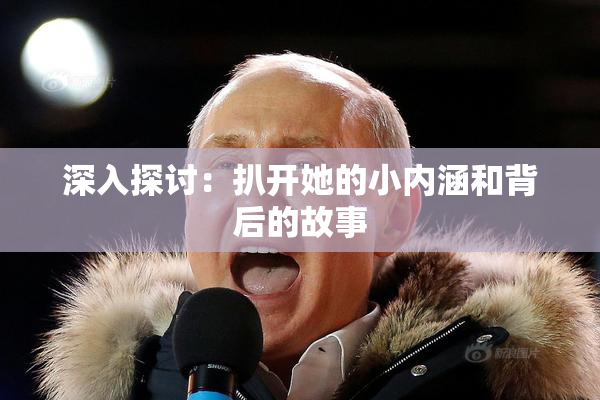 深入探讨：扒开她的小内涵和背后的故事