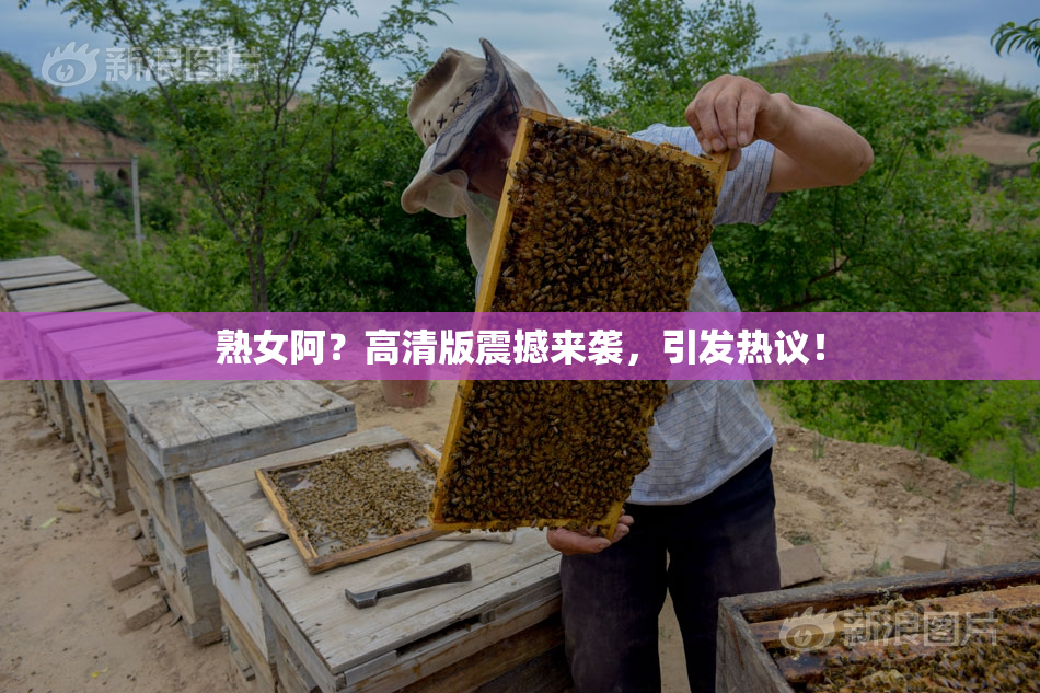 熟女阿？高清版震撼来袭，引发热议！