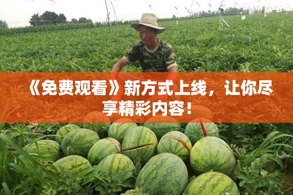 《免费观看》新方式上线，让你尽享精彩内容！