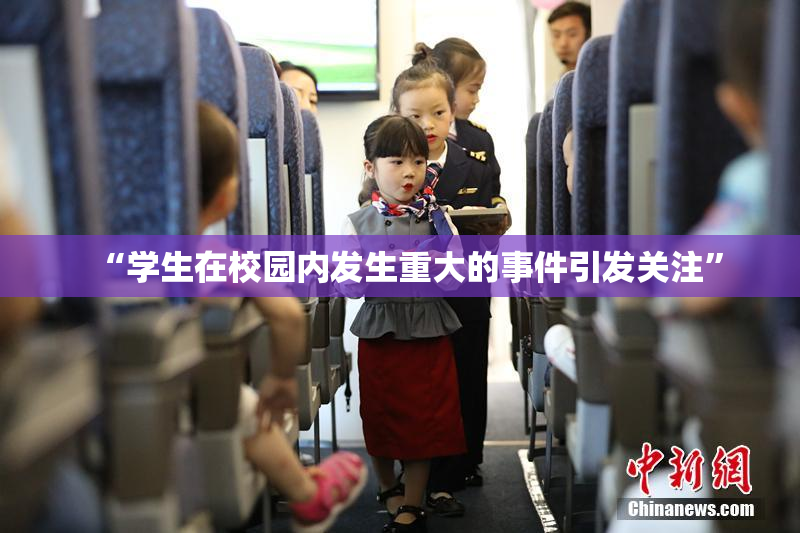 “学生在校园内发生重大的事件引发关注”