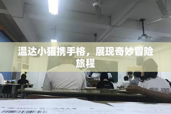 温达小猫携手格，展现奇妙冒险旅程