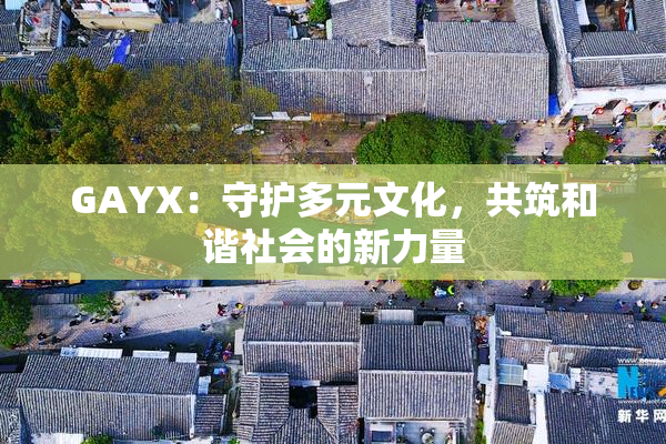 GAYX：守护多元文化，共筑和谐社会的新力量