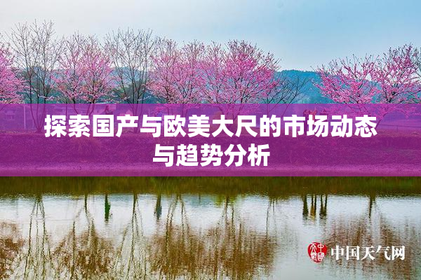 探索国产与欧美大尺的市场动态与趋势分析