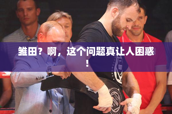 雏田？啊，这个问题真让人困惑！